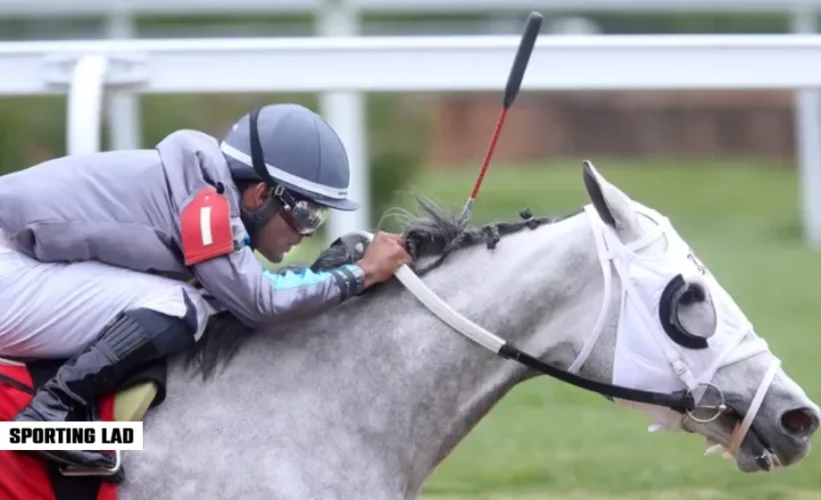 Horse deaths Churchill Downs