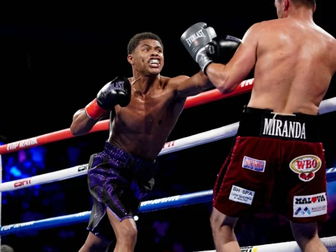 Shakur-Stevenson vs Edwin de Los Santos fight predictions