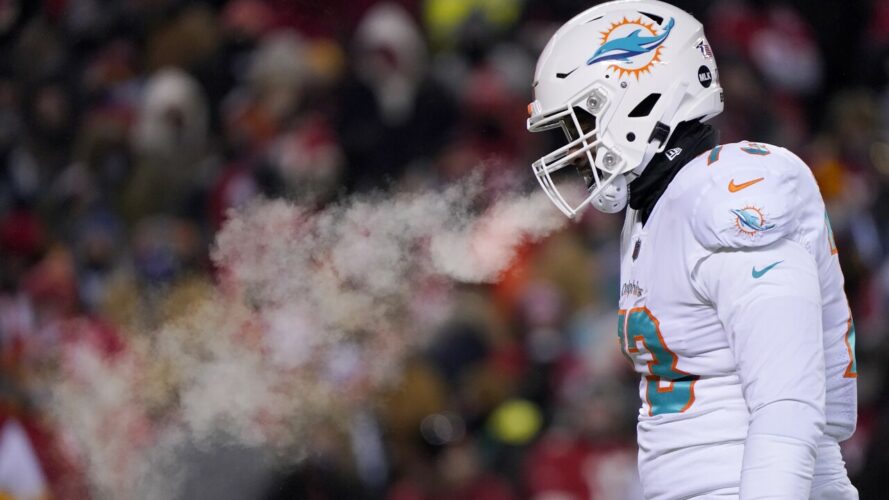 miami dolphins theft